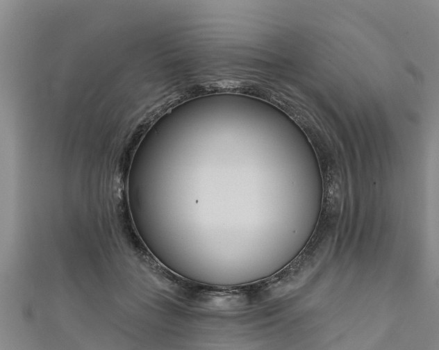 X0000111180555200907081237