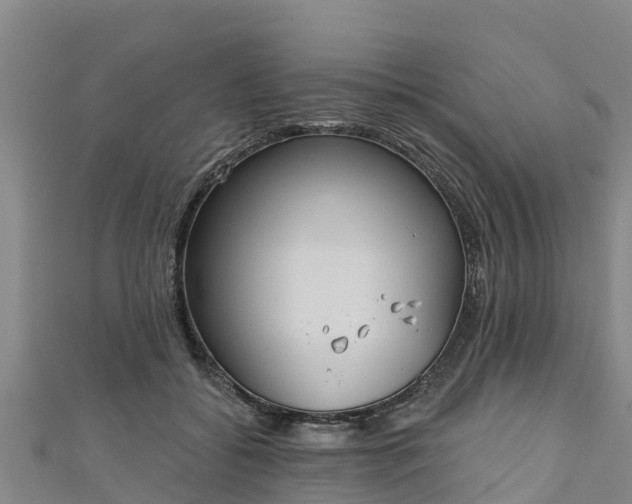 X0000111180556200907081237