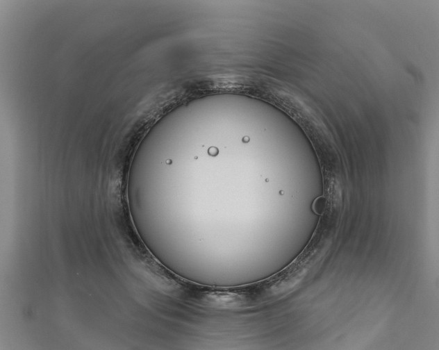 X0000111180557200907081237