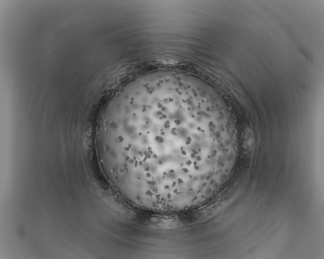 X0000111180559200907081237