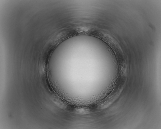 X0000111180561200907081238