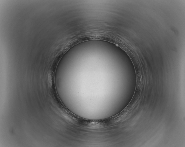 X0000111180562200907081238