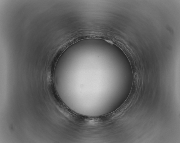 X0000111180564200907081238