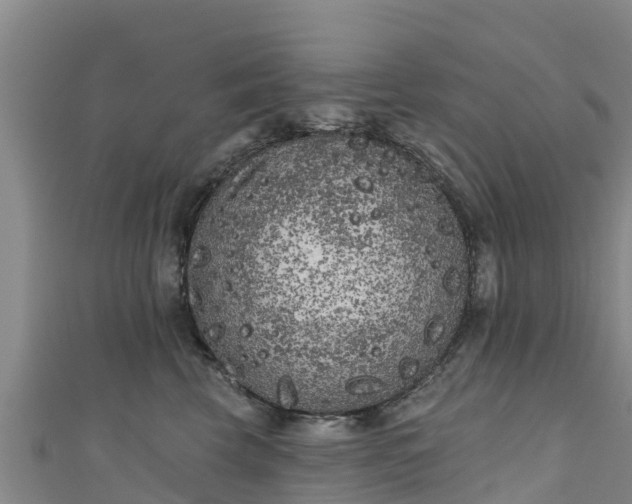 X0000111180569200907081238