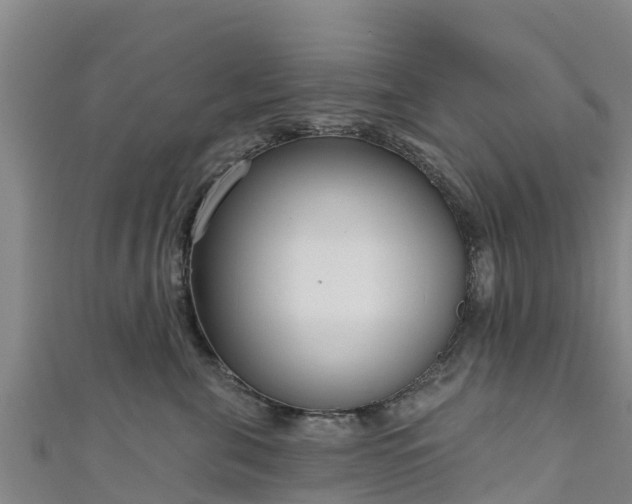 X0000111180571200907081238