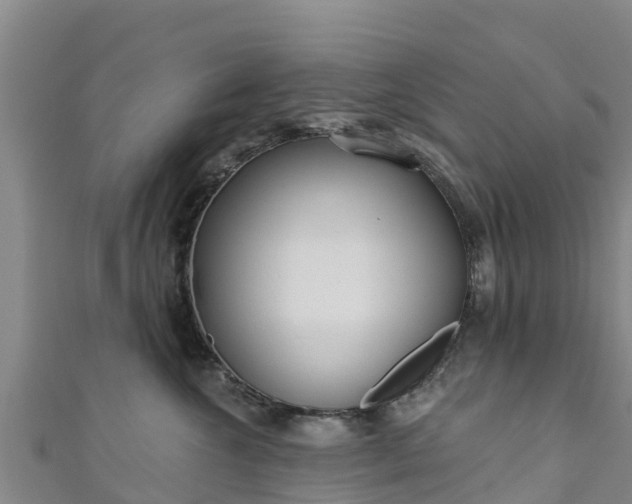 X0000111180572200907081238