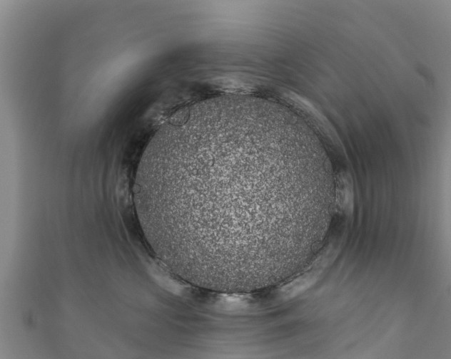 X0000111180573200907081238