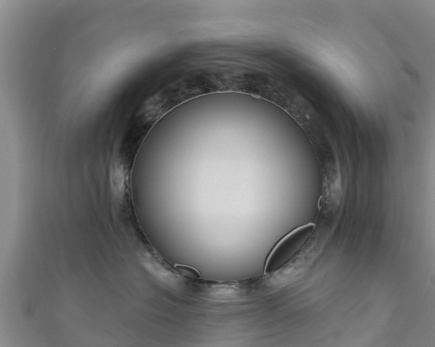 X0000111180574200907081238