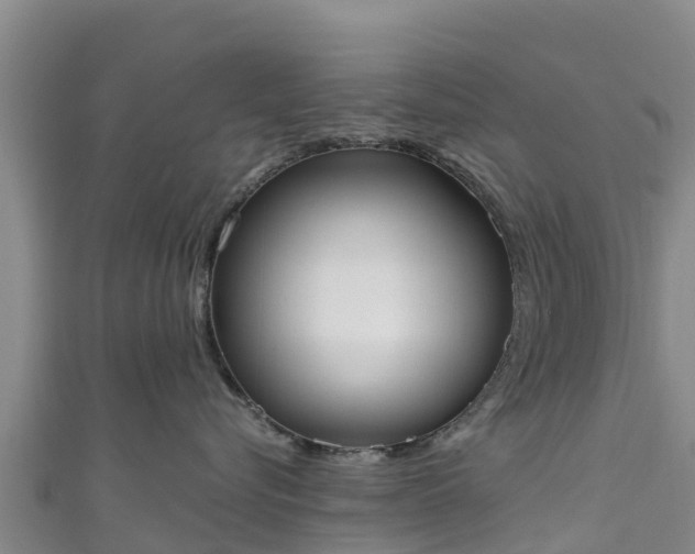 X0000111180576200907081238