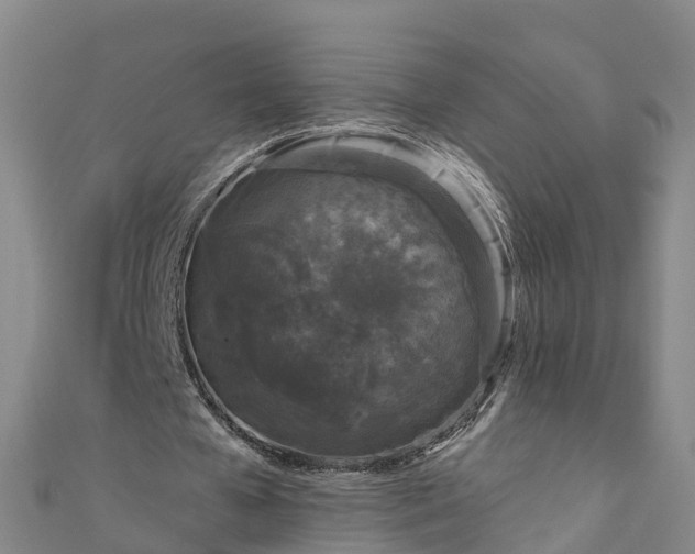 X0000111180577200907081237