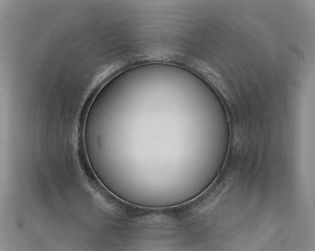 X0000111180578200907081237