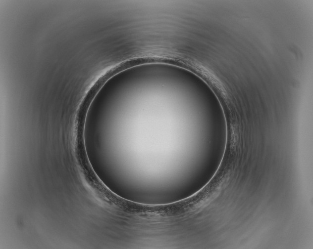 X0000111180580200907081237