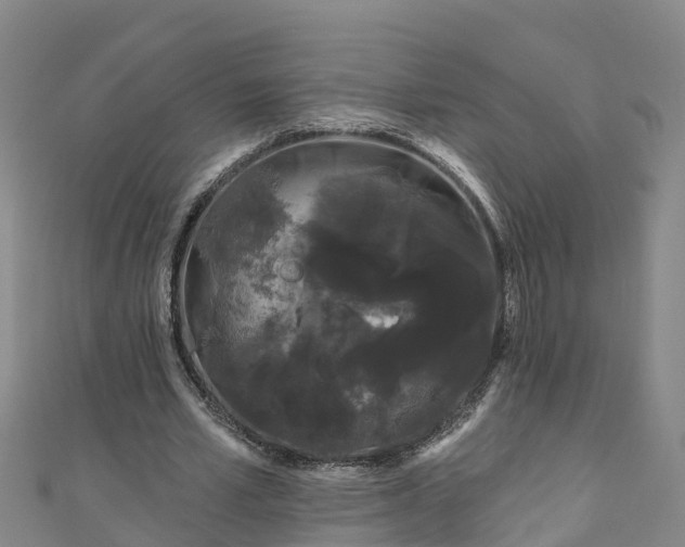 X0000111180581200907081237