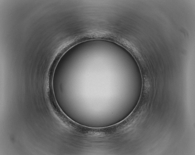 X0000111180582200907081237