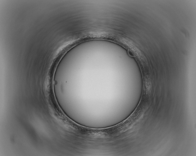 X0000111180583200907081237