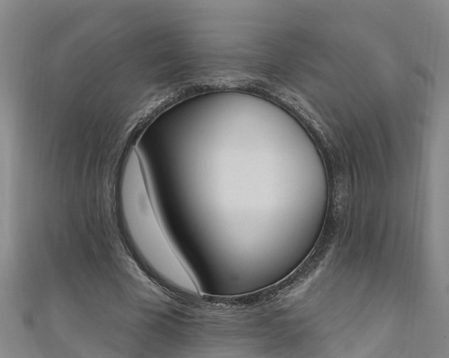 X0000111180585200907081237