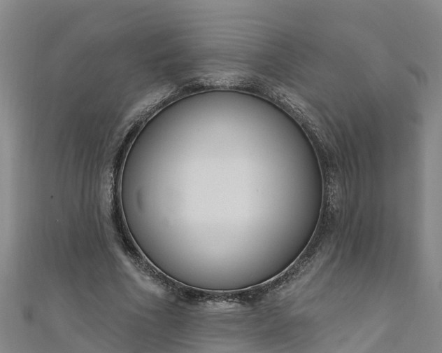 X0000111180586200907081237