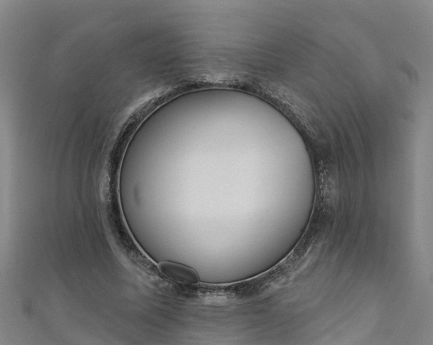 X0000111180587200907081237