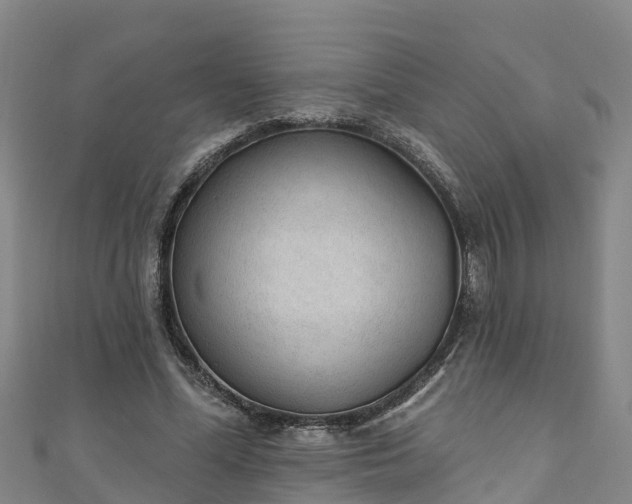 X0000111180588200907081237