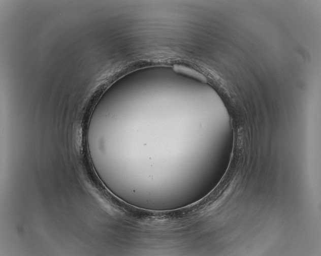 X0000111180589200907081237