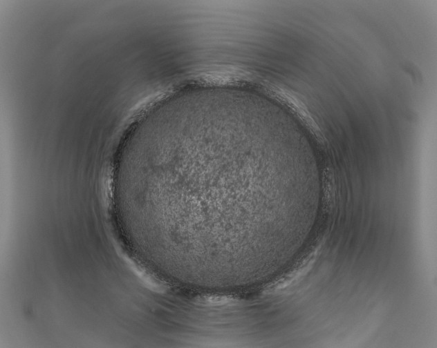 X0000111180590200907081237