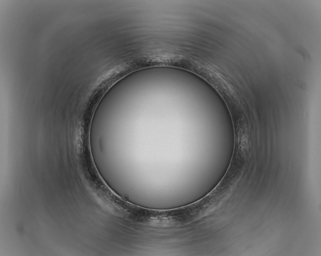 X0000111180591200907081237