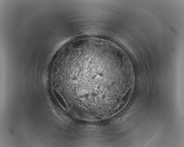 X0000111180592200907081237