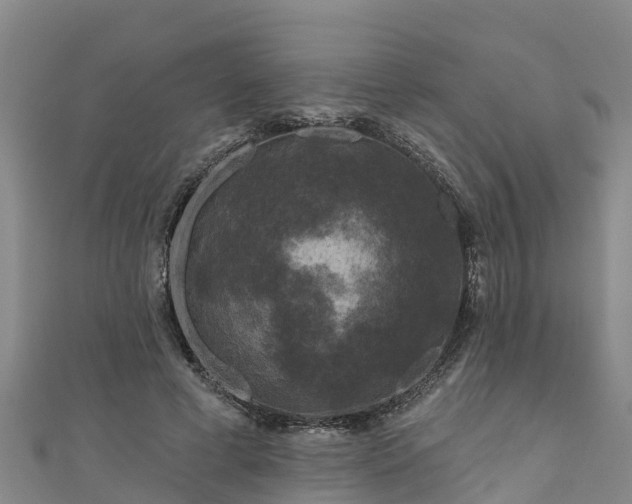 X0000111180593200907081237