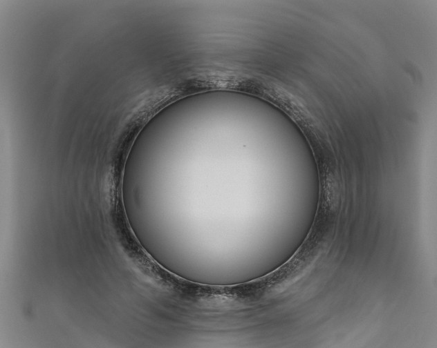 X0000111180594200907081237