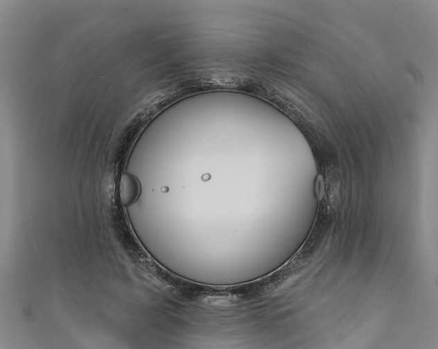 X0000111180595200907081237