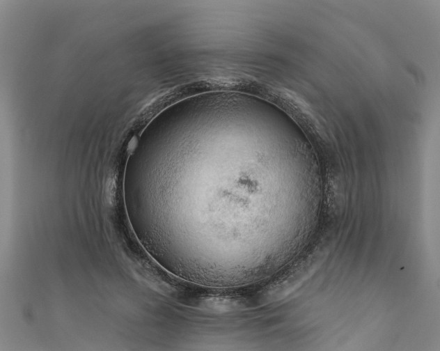 X0000111180596200907081237