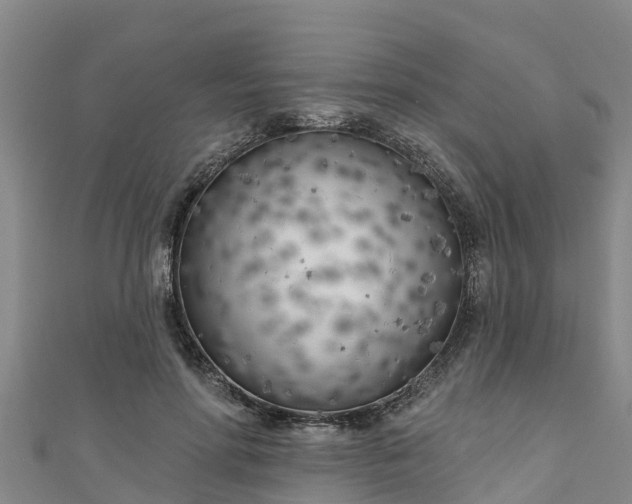 X0000111180598200907081237