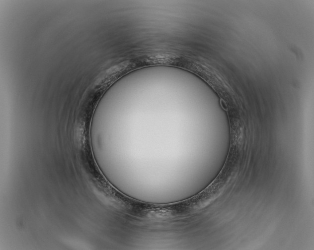 X0000111180599200907081237