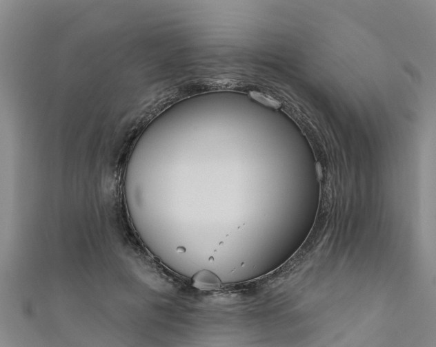 X0000111180601200907081237