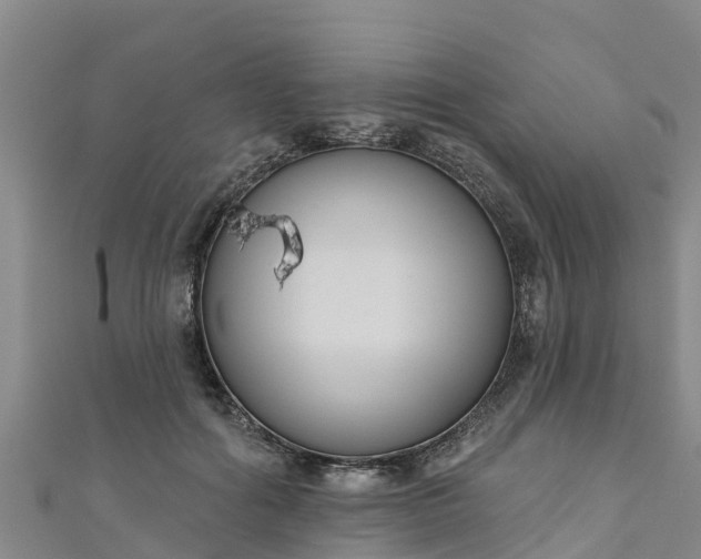 X0000111180602200907081237