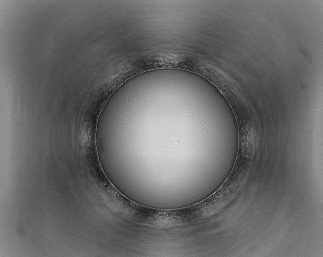 X0000111180608200907081237