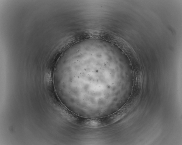 X0000111180610200907081237