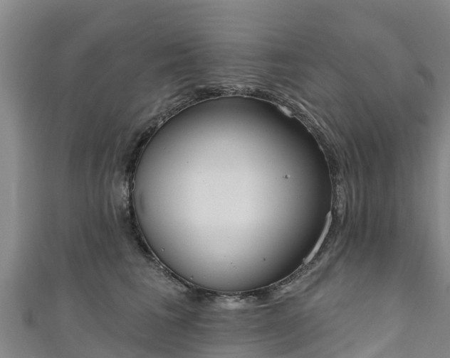 X0000111180613200907081237