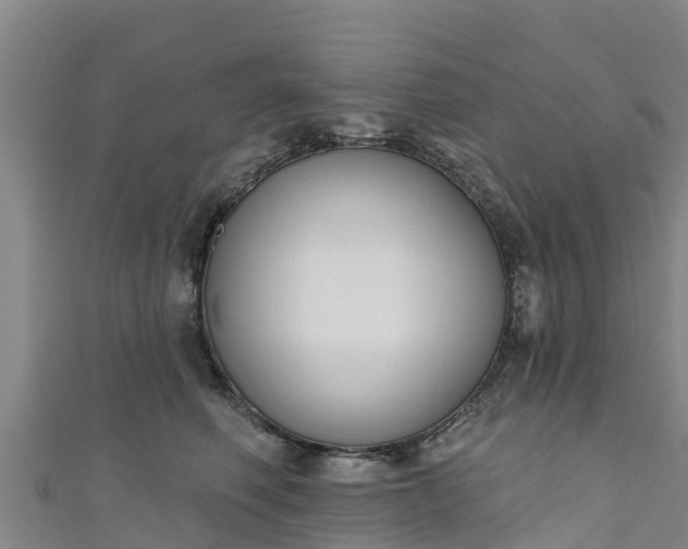 X0000111180614200907081237