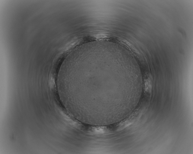 X0000111180618200907081237