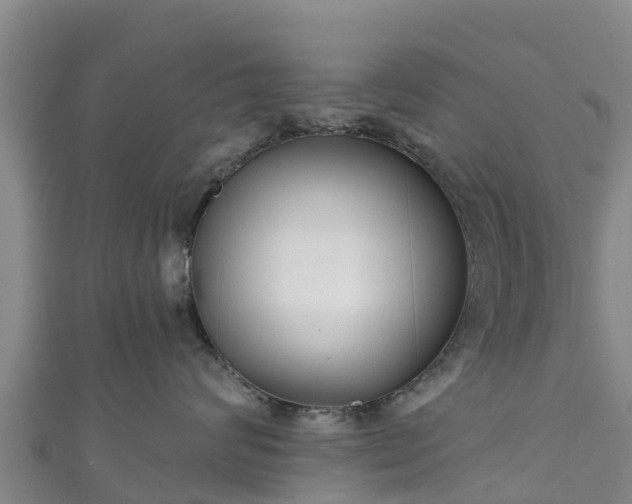 X0000111180624200907081236