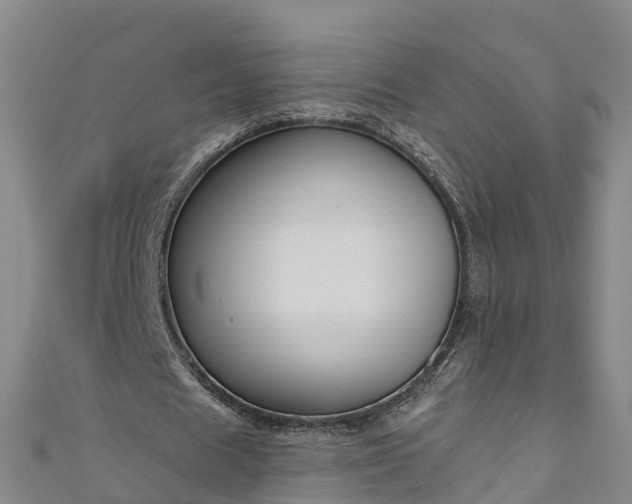 X0000111180625200907081236