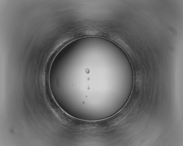 X0000111180626200907081236