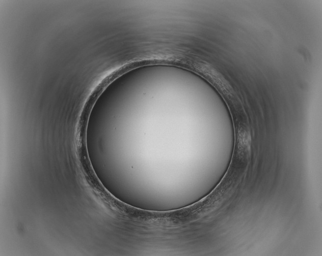 X0000111180628200907081236