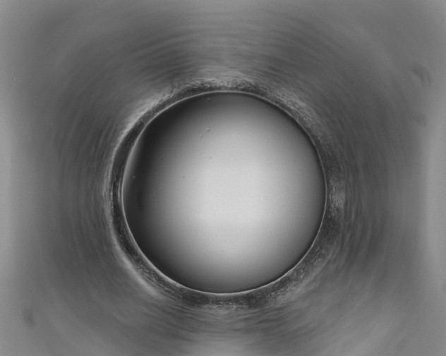 X0000111180630200907081236