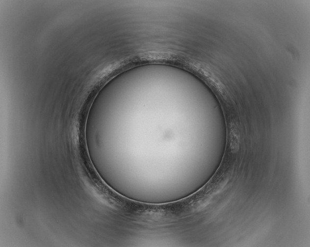 X0000111180631200907081236