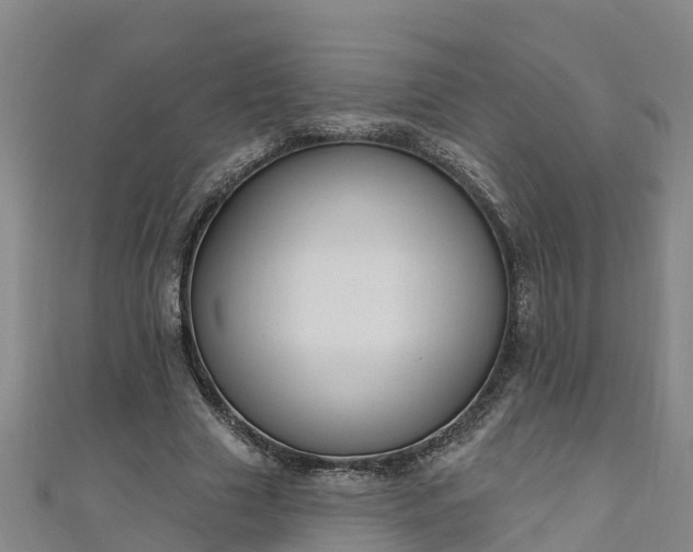 X0000111180633200907081236