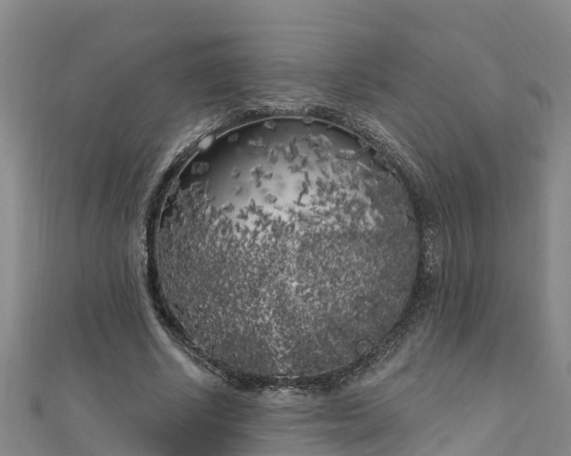 X0000111180634200907081236