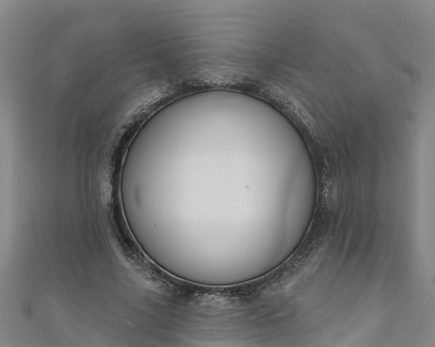 X0000111180635200907081236