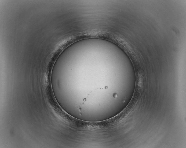 X0000111180636200907081236